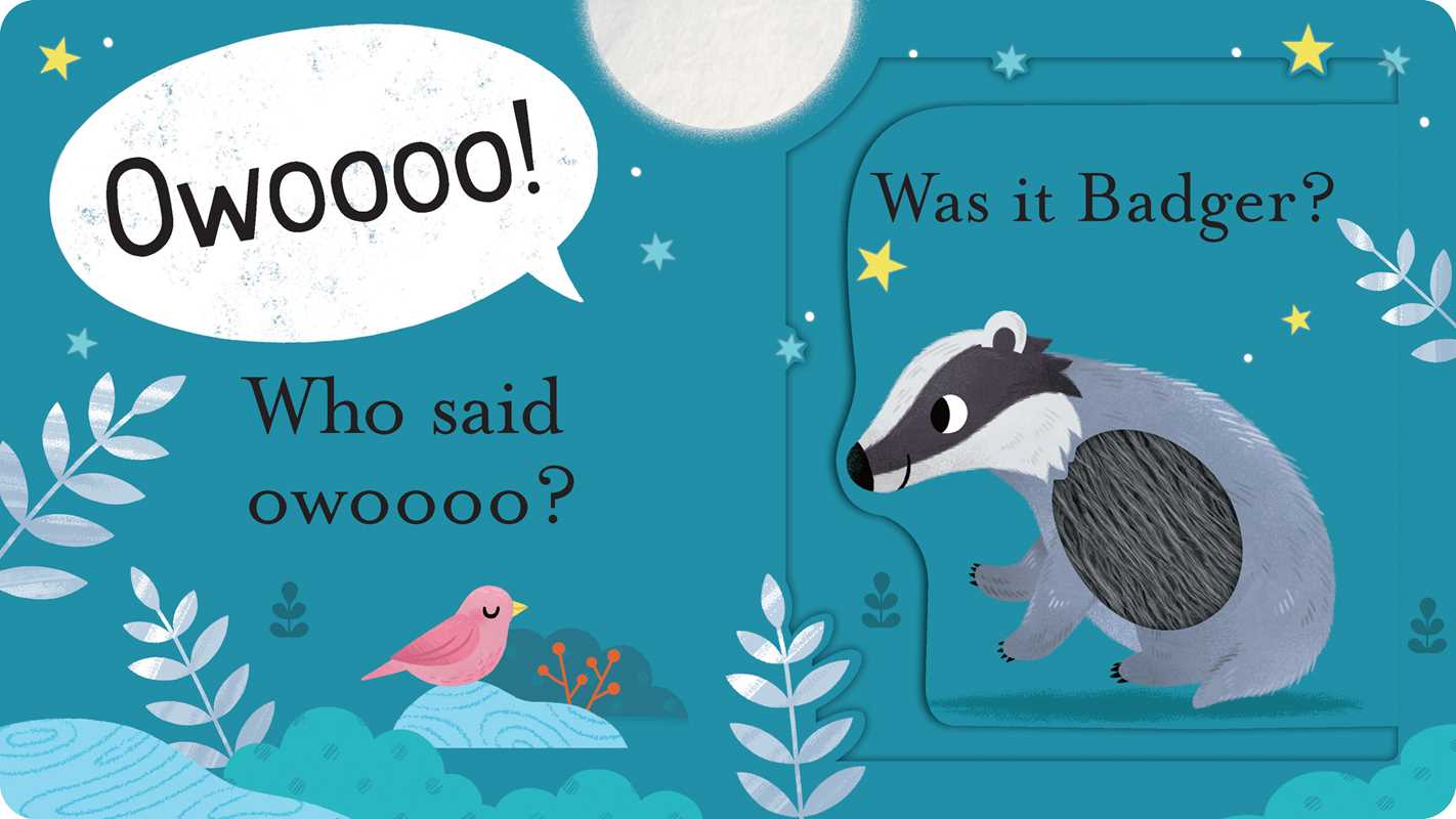 Who Said Hoot? by