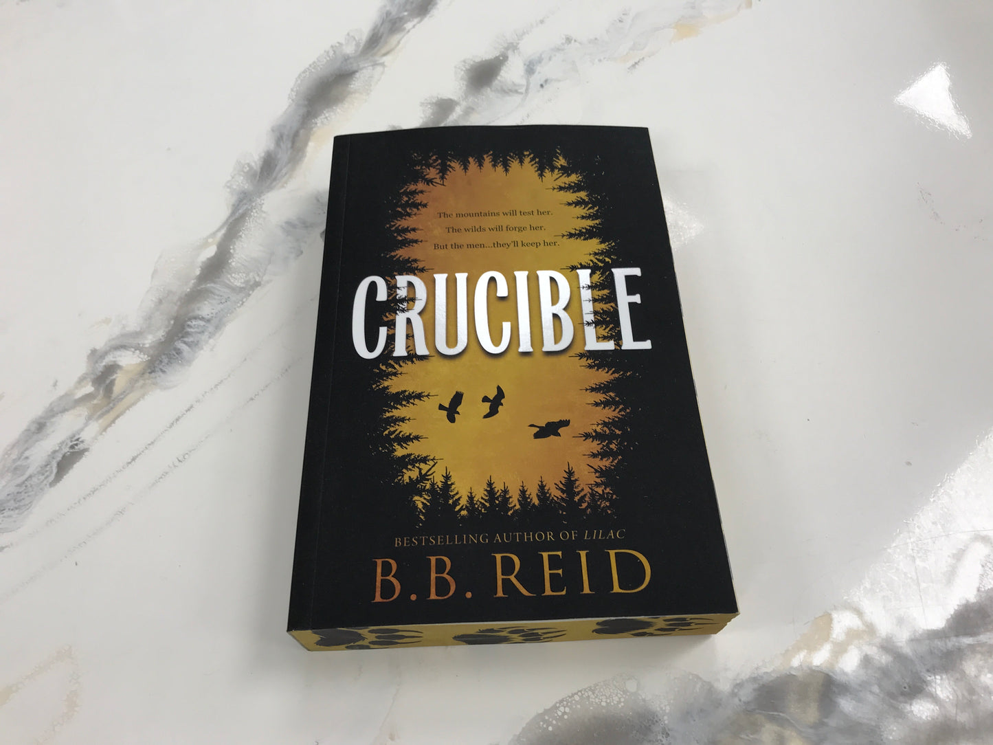 Crucible