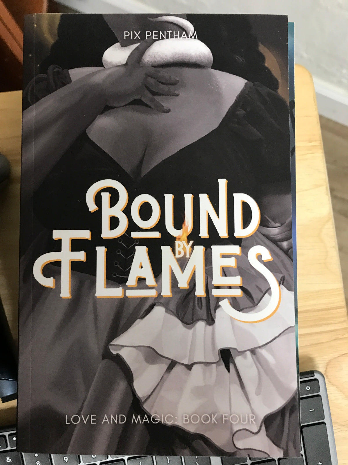 Bound By Flames Book 4