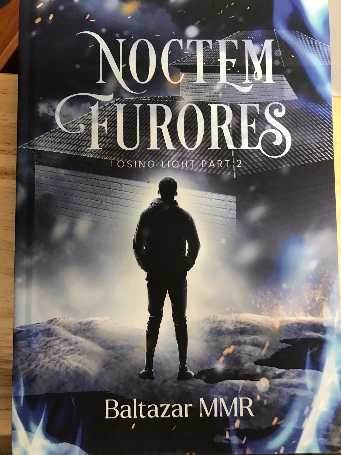 Noctem Furores Book 2