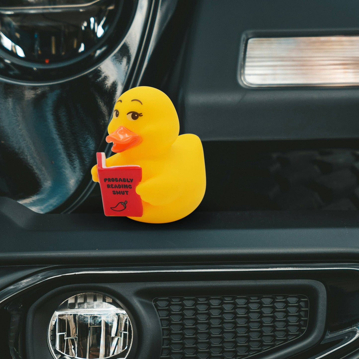 “Probably Reading Smut” Rubber Duck