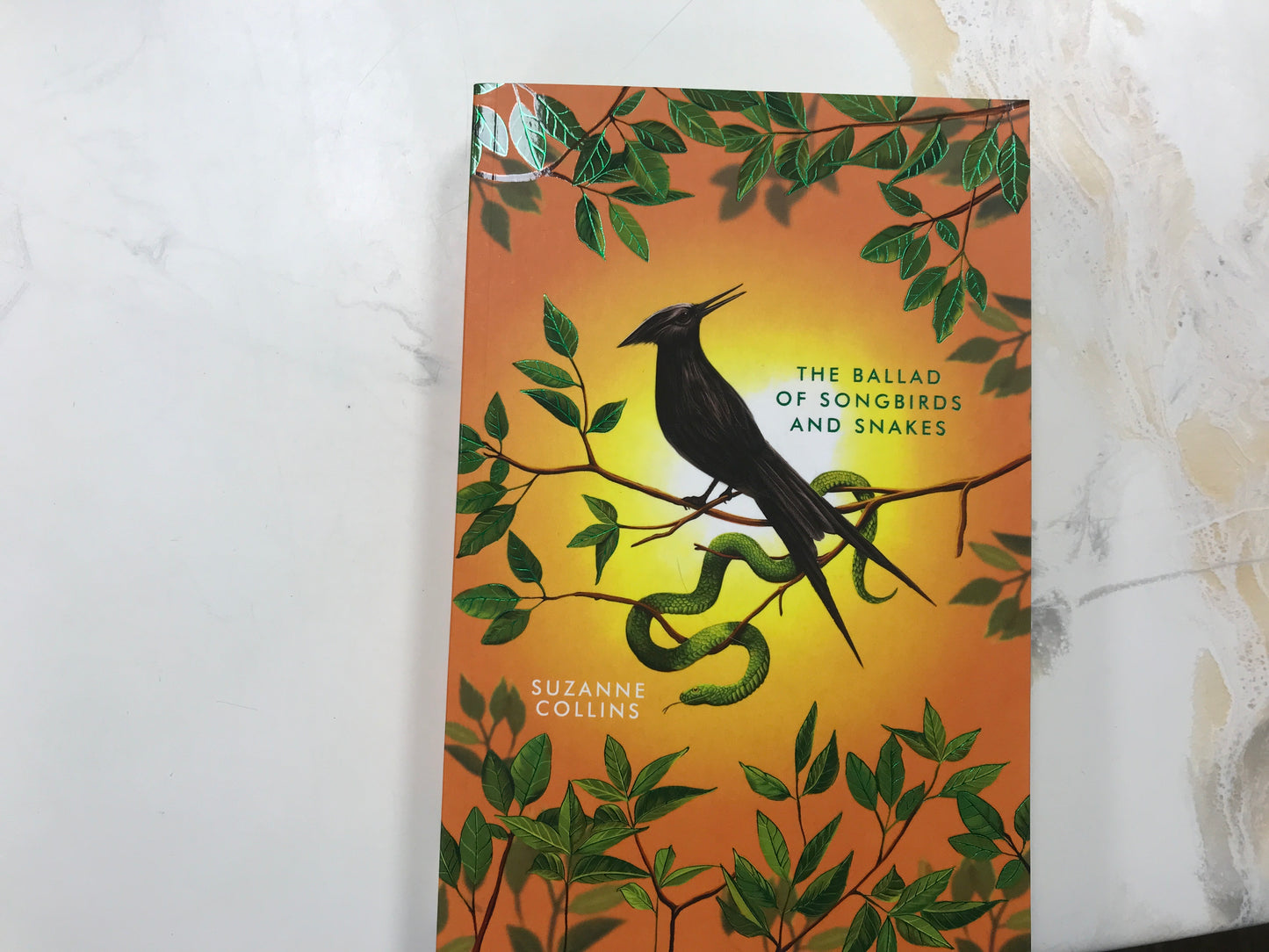 The Ballad of SongBirds and Snakes