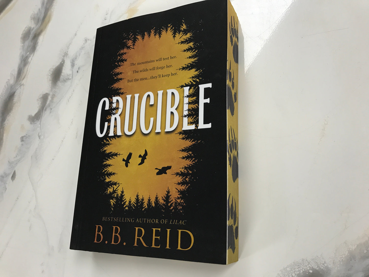 Crucible