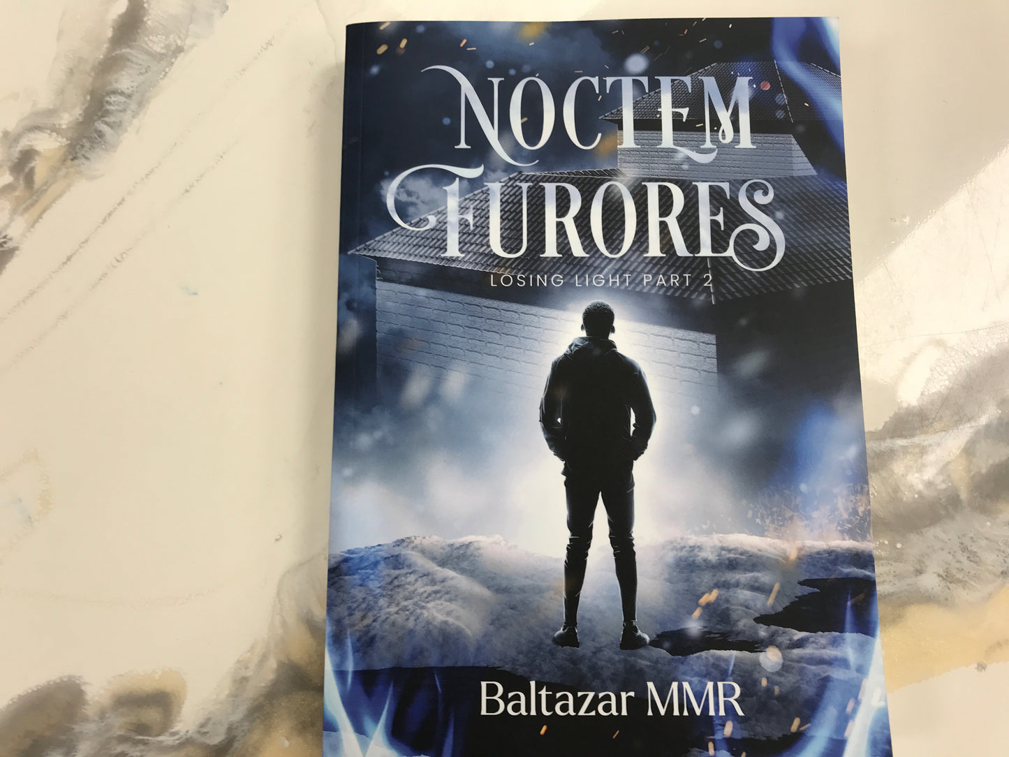 Noctem Furores Losing Light Book 2