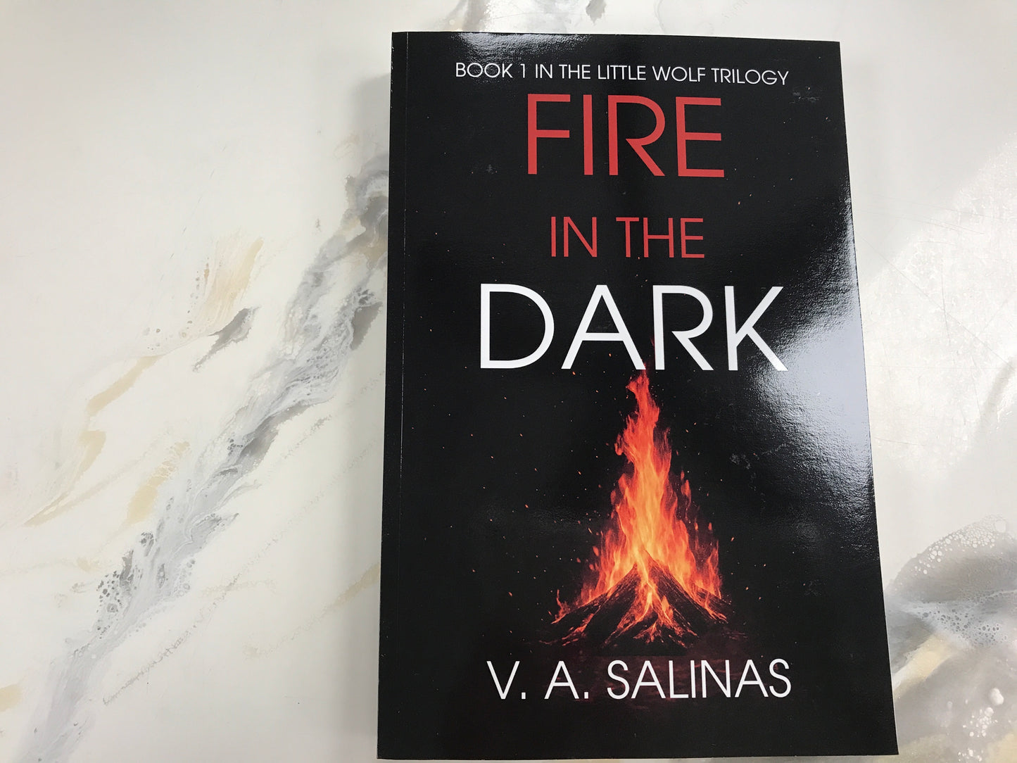 Fire In The Dark