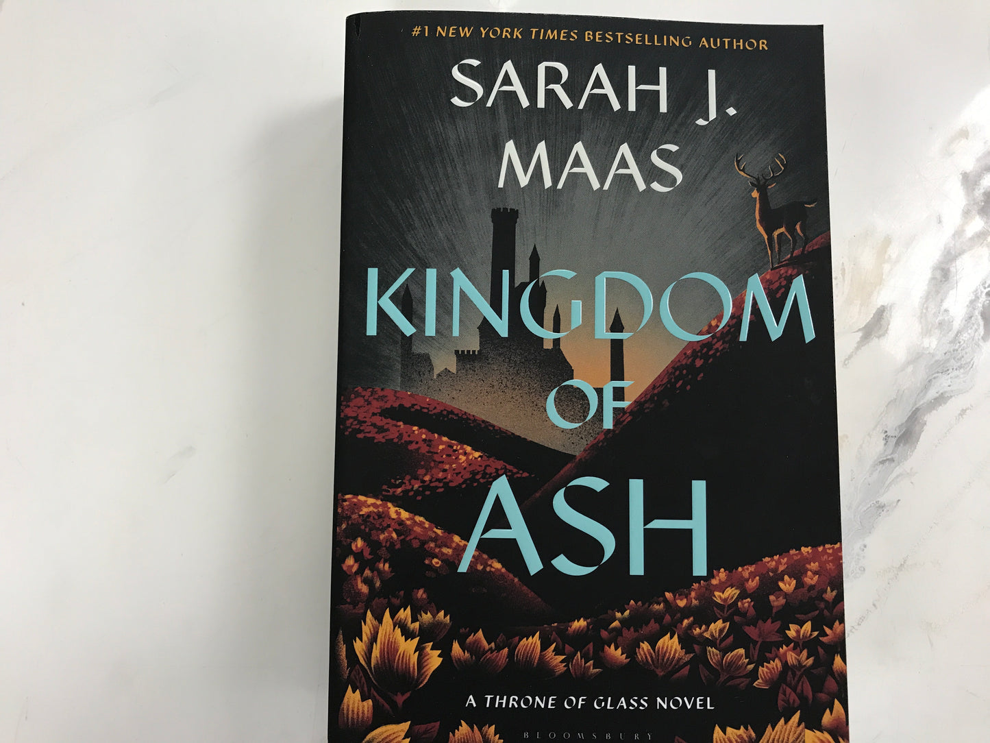 Kingdoms of Ash