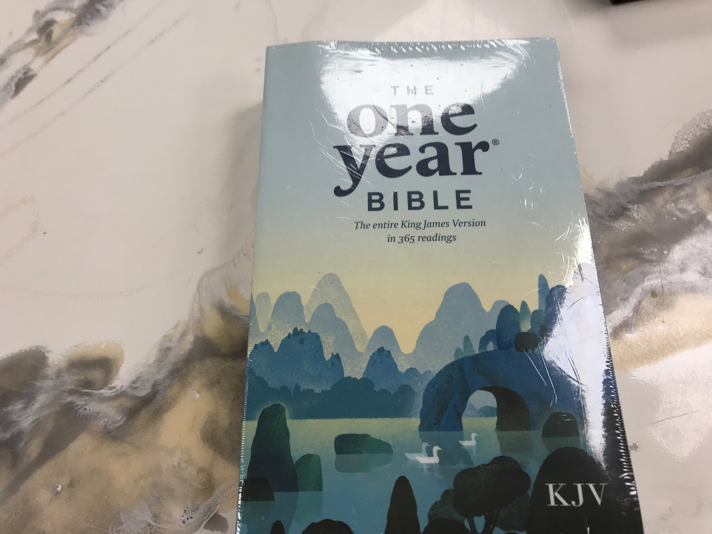 The One Year Bible