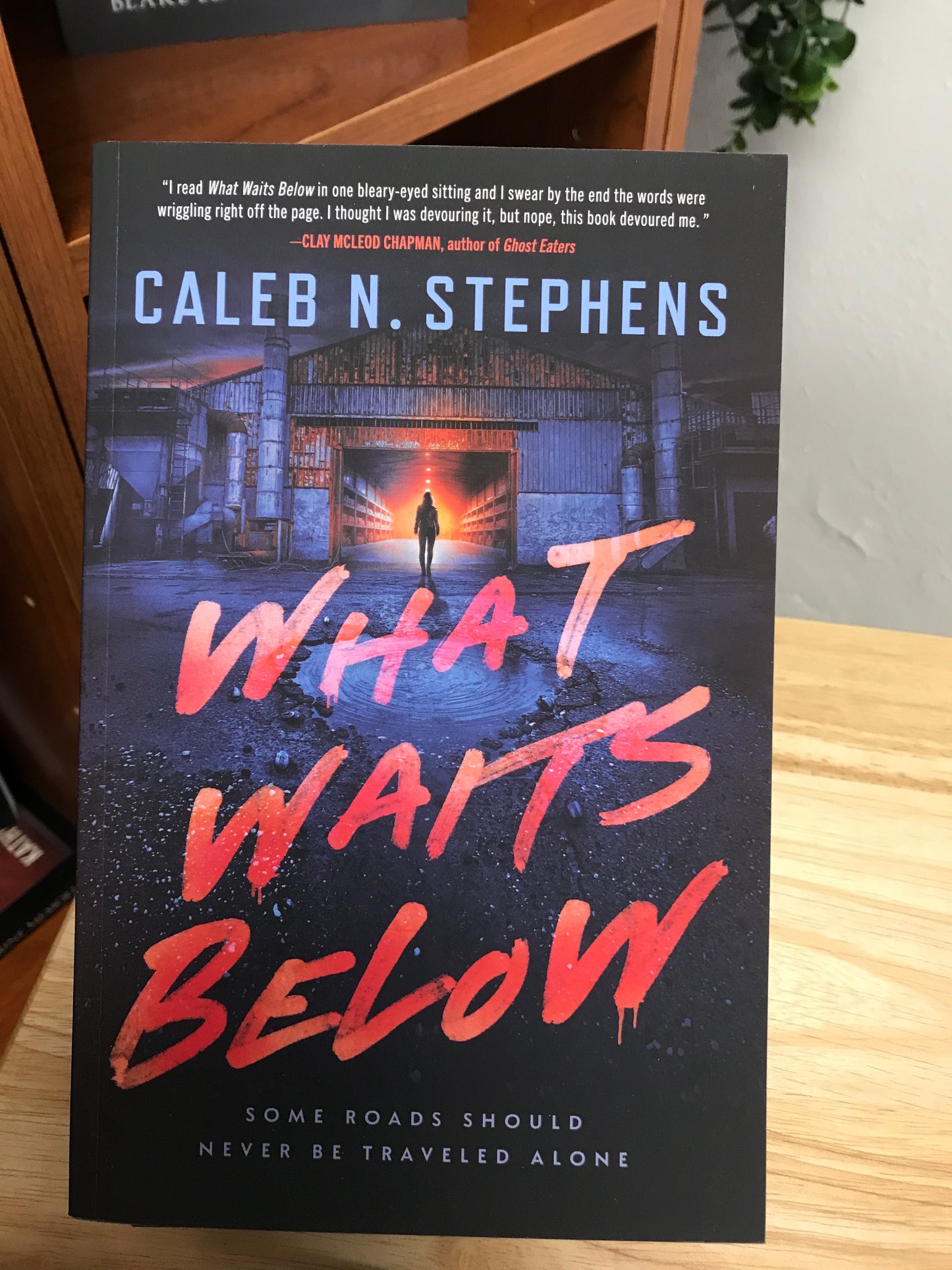 What Waits Below