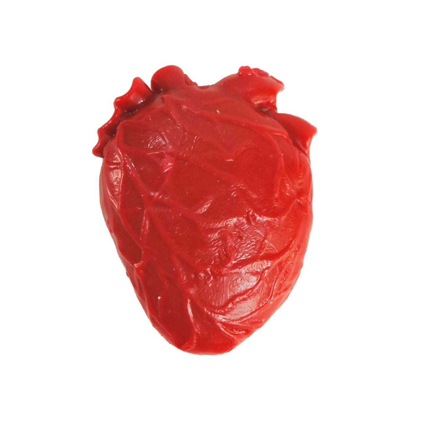 Tiny Toys - Teeny Tiny Vital Organ