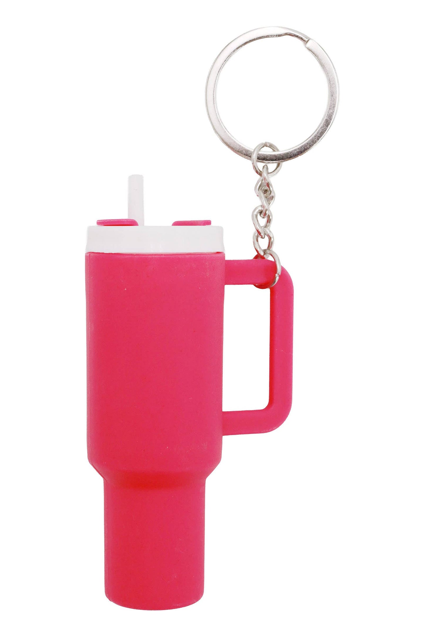 Stanley Key Chain
