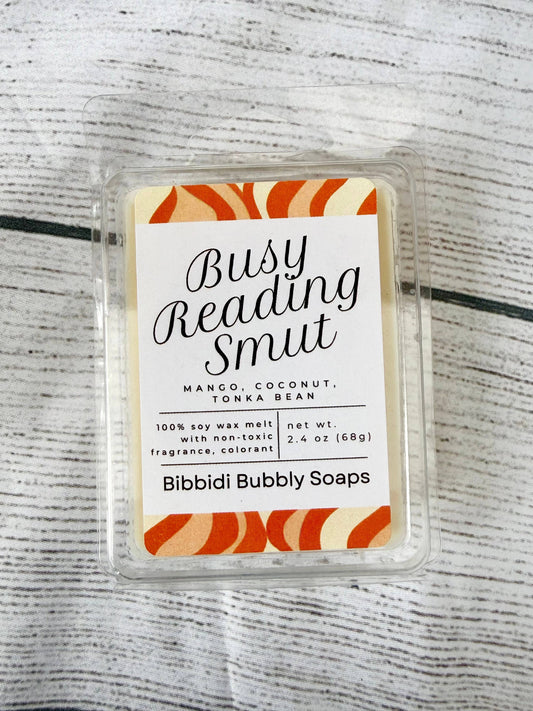 Busy Reading Smut Wax Melt Fantasy Bookstore ACOTAR Romance
