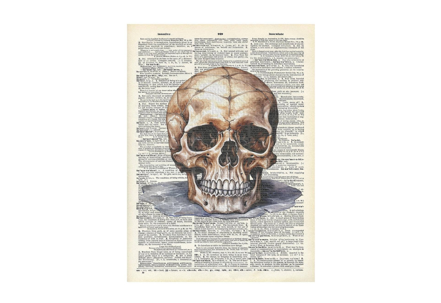 Halloween, skull , Vintage, Dictionary Prints